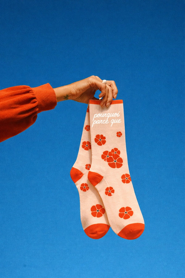Chaussettes Pourquoi Parce Que